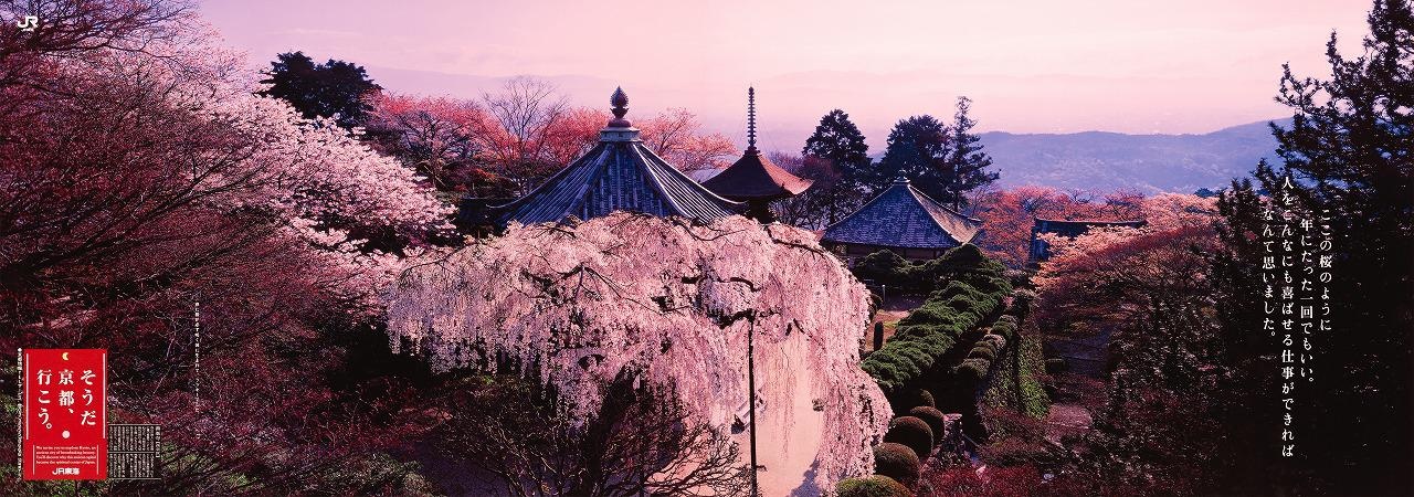 こちらは善峯寺をロケ地とした1999年春のキャンペーン。サブコピーは“ここの桜のように 一年にたった一回でもいい。 人をこんなにも喜ばせる仕事ができれば なんて思いました。春に桜が必ず咲く国に生まれて、ラッキーでした。”