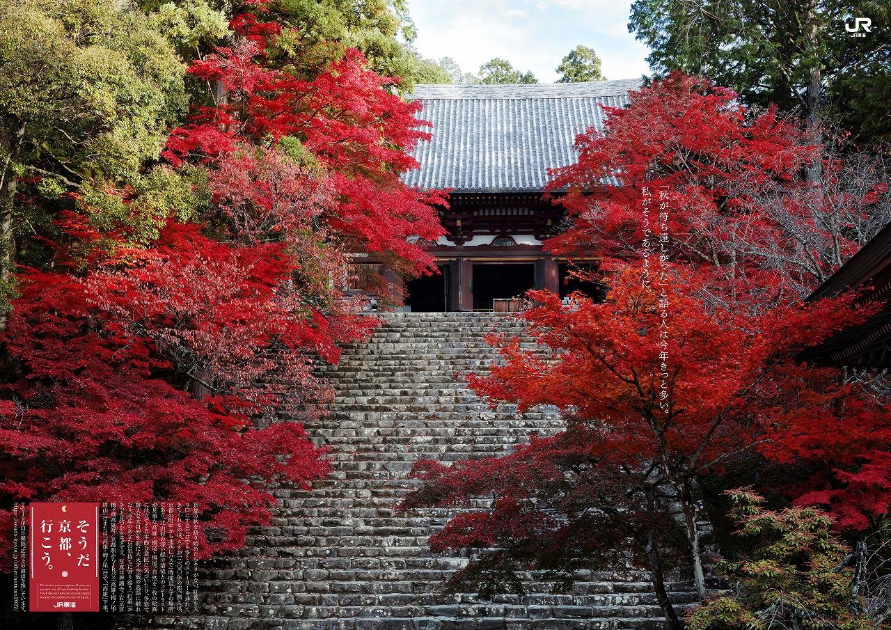 「そうだ 京都、行こう。」2022年の秋編のメインビジュアル。サブコピーは“「秋が待ち遠しかった」と語る人は今年きっと多い。私がそうであるように。”