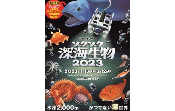 「駿河湾の深海生物を大調査！」をテーマに深海イベントが開催