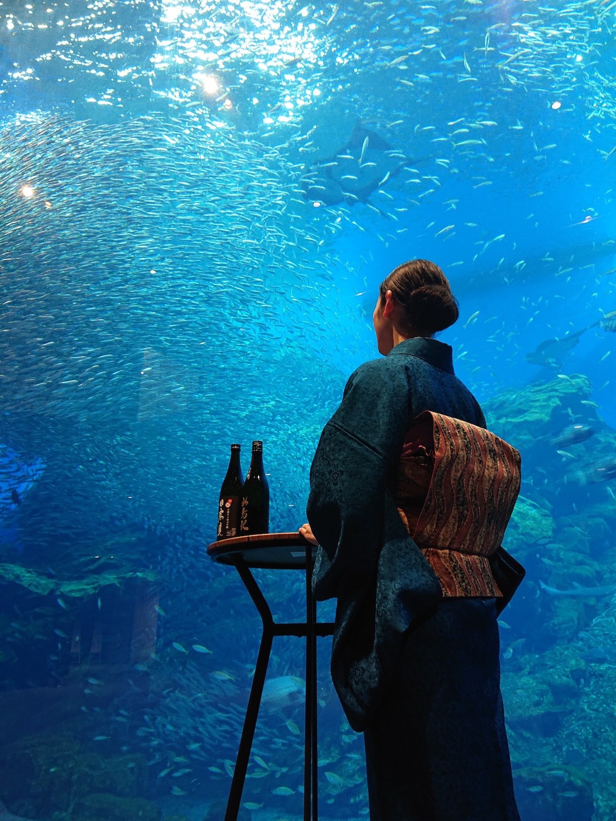 5月20日(土)に開催する「魚を肴に 日本酒ナイト水族館」。今回で10回目を迎える、仙台うみの杜水族館の人気イベントだ