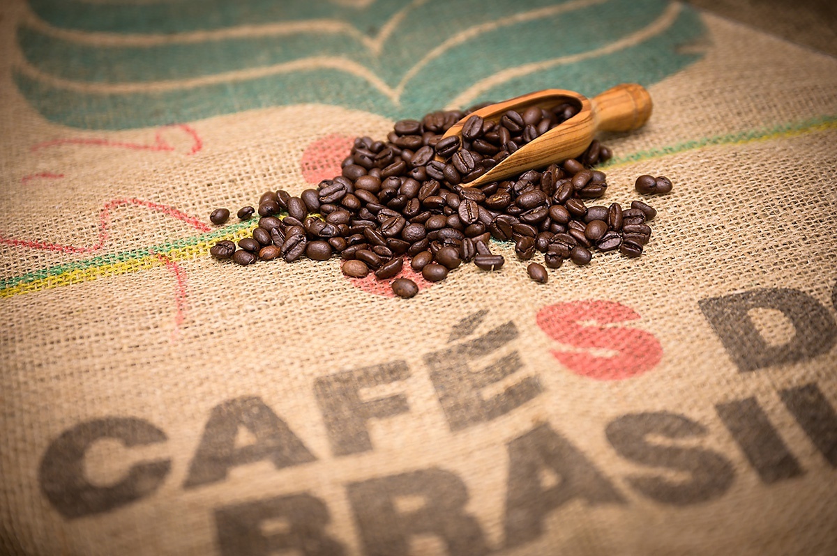 コーヒーの生産者を支援するプログラムである“ネスカフェ プラン”を、2030年に向けてさらに取り組みを加速。コーヒー栽培を持続可能なものにするため“ネスカフェ プラン2030”として、新たに昨年(2022年)発表した