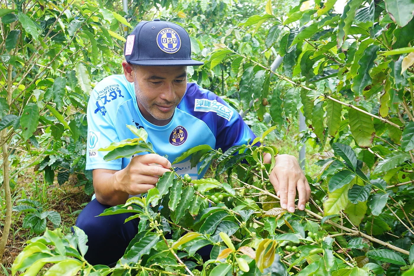 【写真】沖縄でのコーヒー栽培にも力をいれる、元サッカー日本代表の髙原直泰さん
