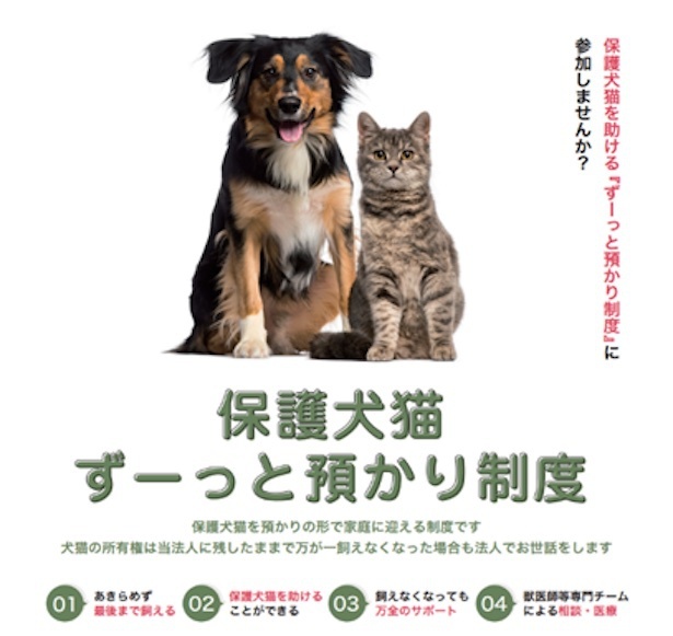 岐阜県を中心とした東海エリアで「保護犬猫ずーっと預かり制度」がスタート